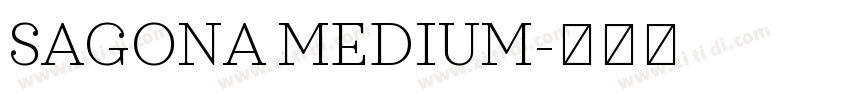 SAGONA MEDIUM字体转换